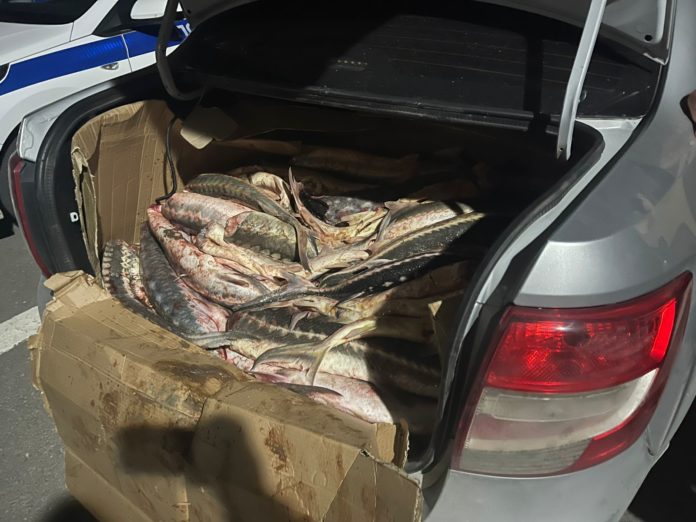 11EE09F9-A038-4367-BA8D-8DD2A9195F1C