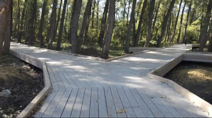 266F4873-1EC7-4166-861C-C87368DA8596