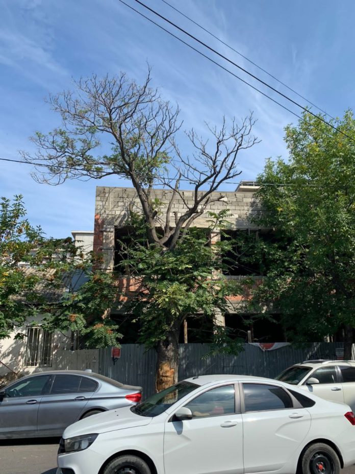 60268463-E013-4E90-ACCB-715DA8A4CDB6