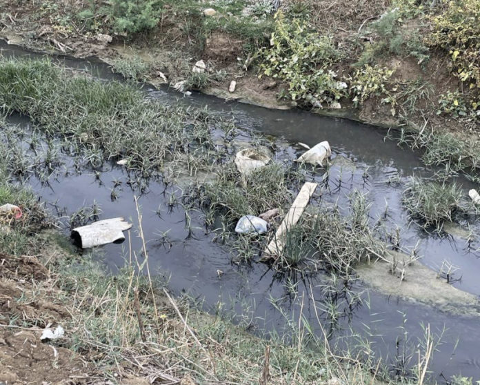 D65D0048-0AB9-4DE1-94B1-607878579C74