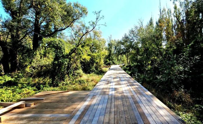 033DDD20-77DF-4BF2-A1E1-0A6D143C436C