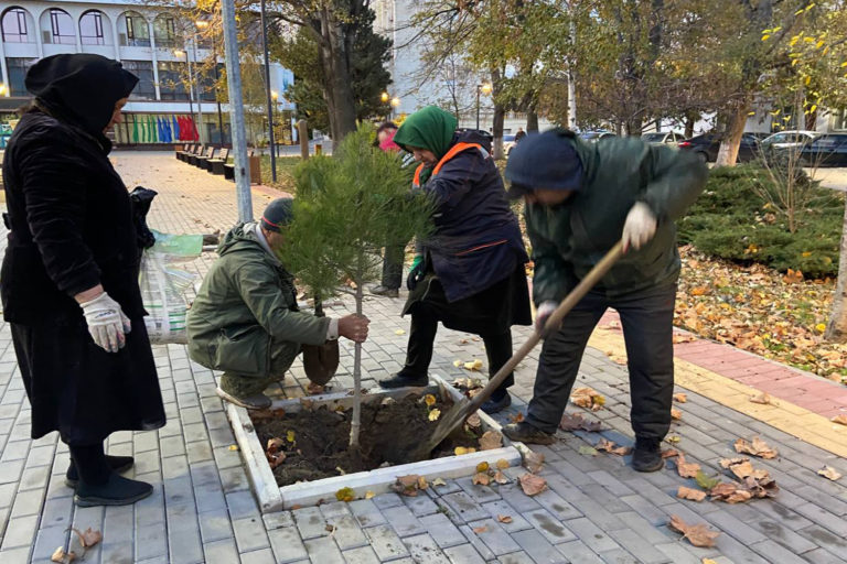 В парках и скверах продолжается сезонная посадка деревьев