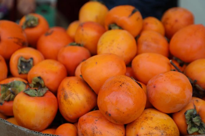 6D047E00-2A93-4286-A038-6579BFDBE772