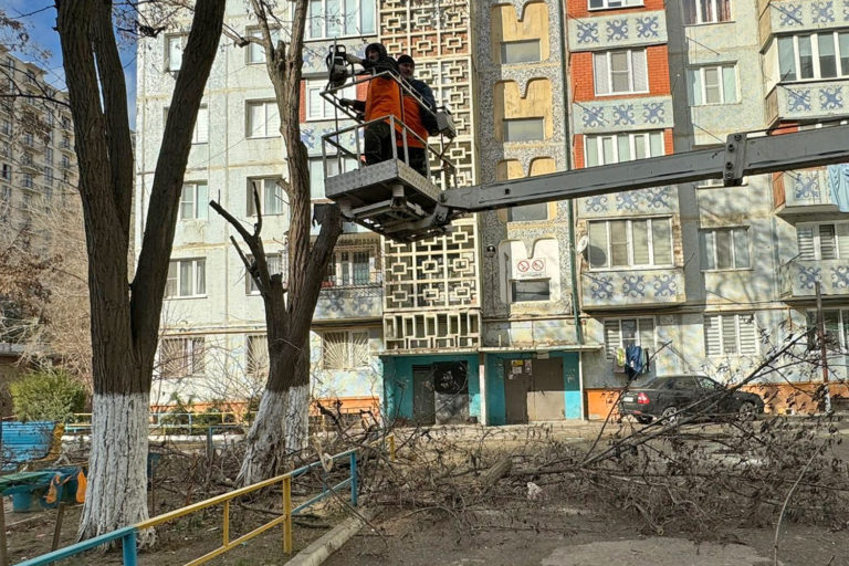 Столичные коммунальщики спилили аварийные и ветхие деревья