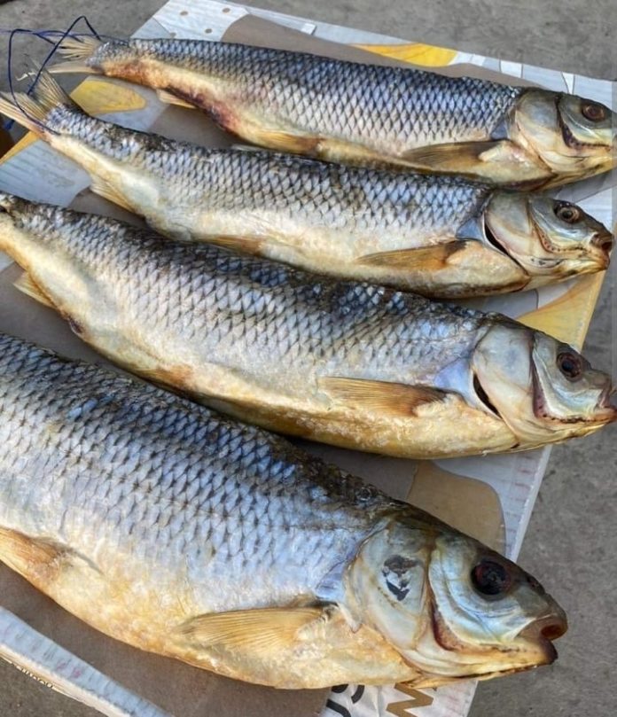 6DE0AD76-C4E3-439B-9897-C5481C814BDA