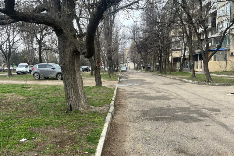 Любишь город – голосуй за его развитие!