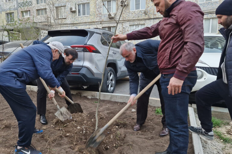 Депутаты открыли очередную детскую площадку