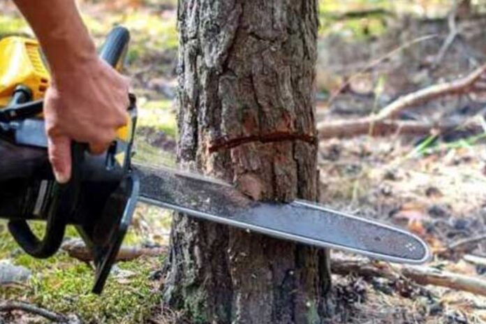 Религия №25_2024_2