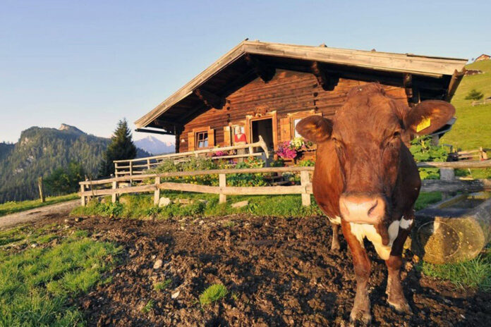 Закон и право №31_2024_2