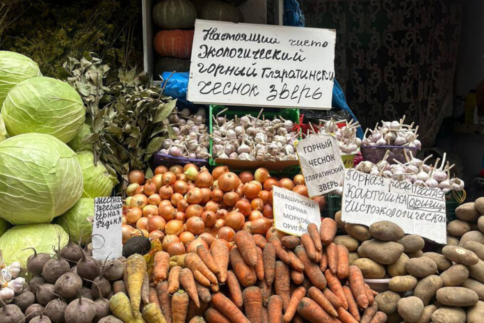 Дагестан №43_2024_4