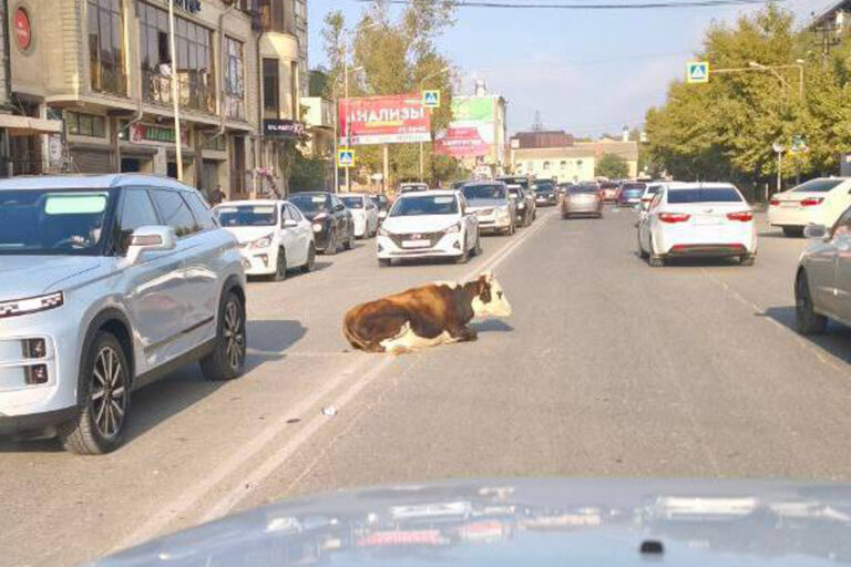 Фотофакт