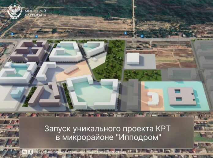 IMG_20241025_203855_972