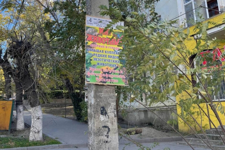 В городе демонтировали свыше 500 рекламных расклеек и растяжек