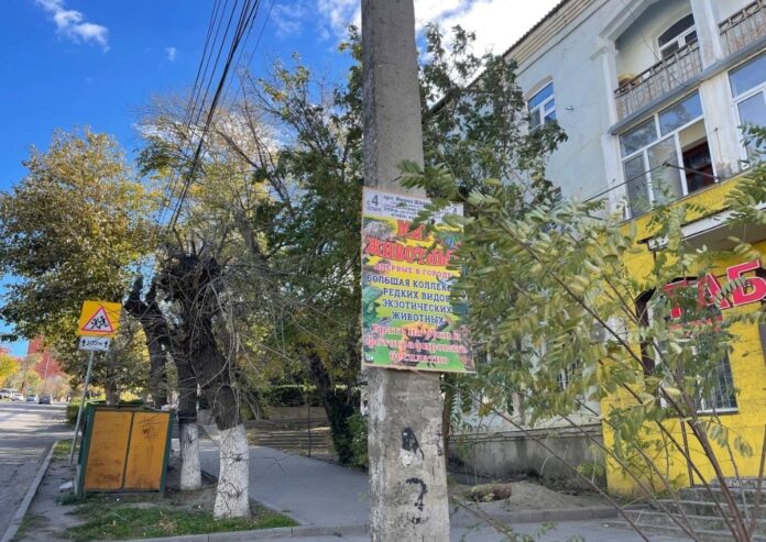 рейды реклама