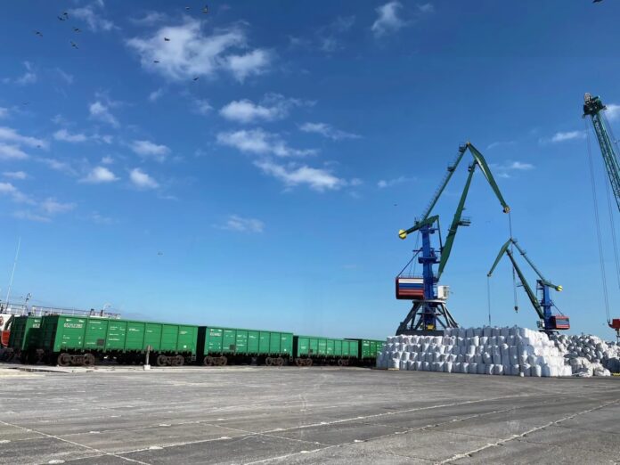 VideoCapture_20241108-140852