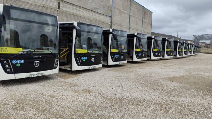 IMG_20241204_203547_951