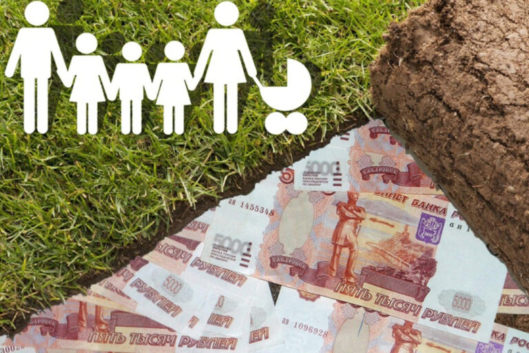 В Госдуме напомнили о новых земельных льготах для многодетных