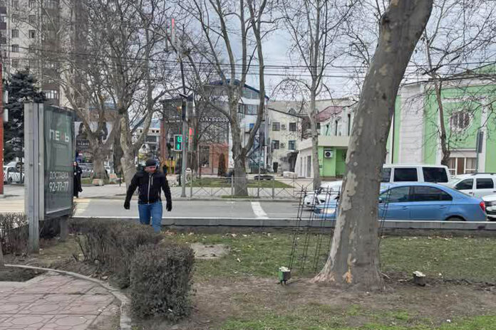 ситиформат