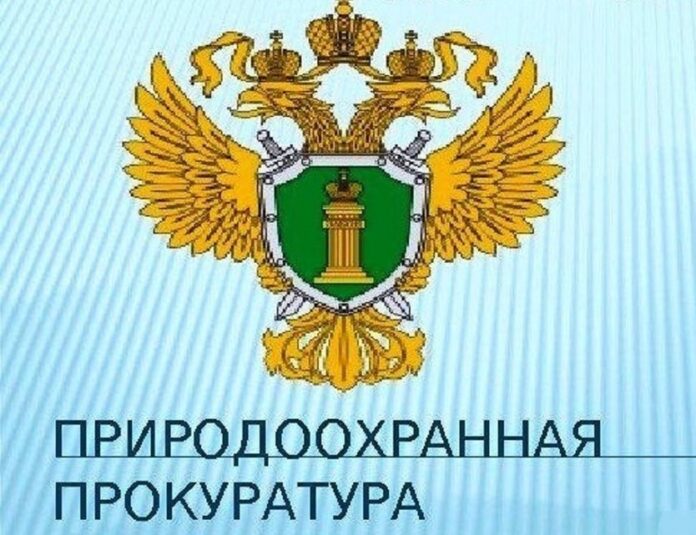 проверка по льву