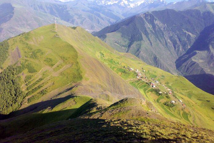 1 ричаганих