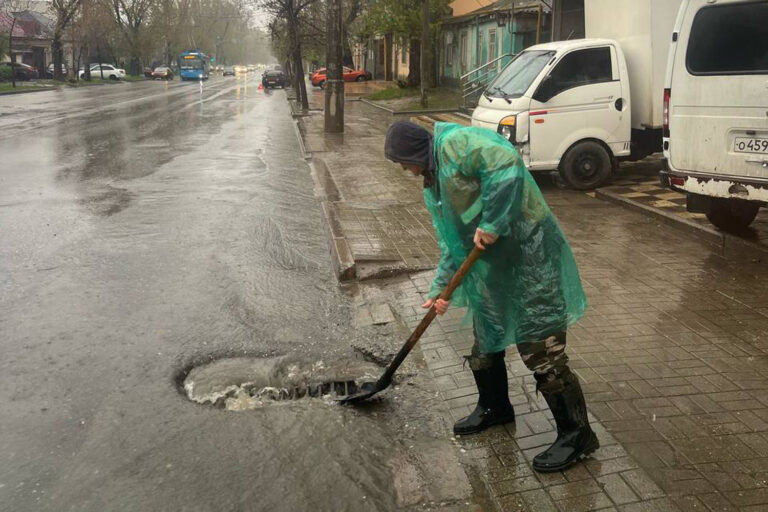 «Дождь в первый раз видят?»