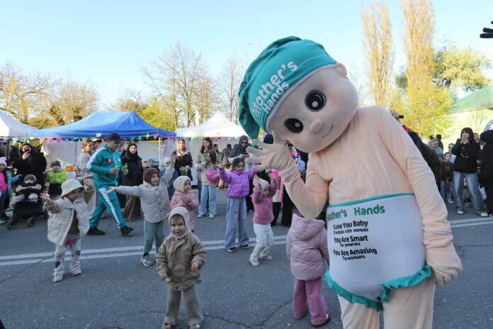 Цвет №17_2025 (2)