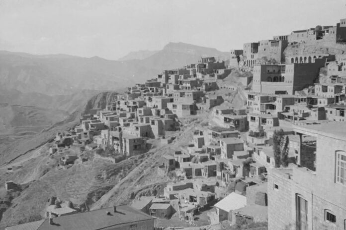 Нахибашев №17_2025 (2)