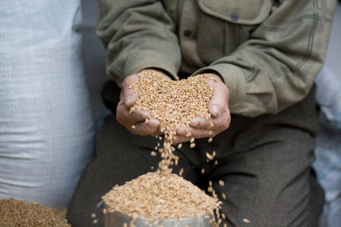 Религия №16_2025_1