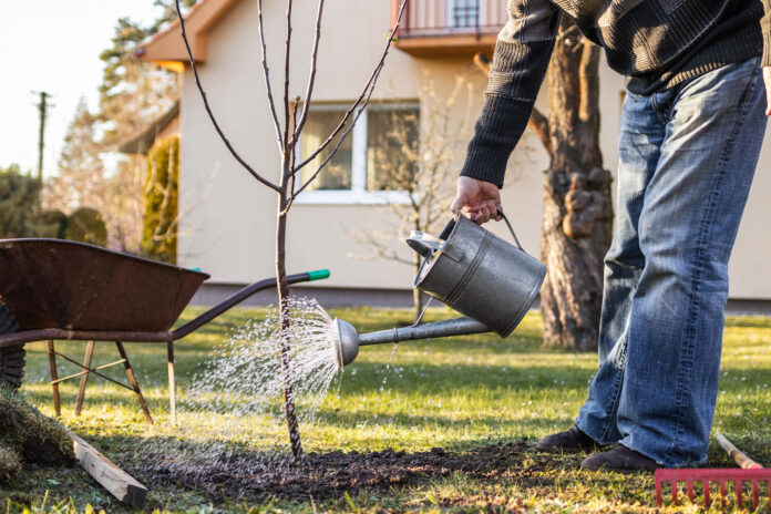 Закон и право №18_2025_4