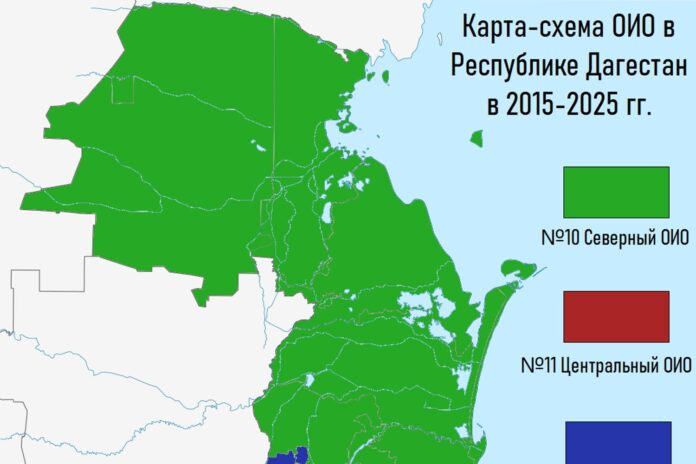 Цвет №24_2025 (2_1)