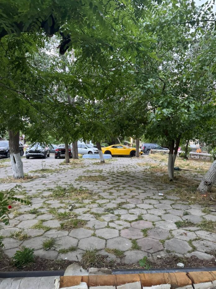 IMG_20250611_204218_657