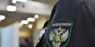 В Дагестане будут судить экс-главу Россельхознадзора, прикрывавшего прогулы родственника