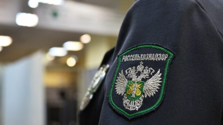 В Дагестане будут судить экс-главу Россельхознадзора, прикрывавшего прогулы родственника