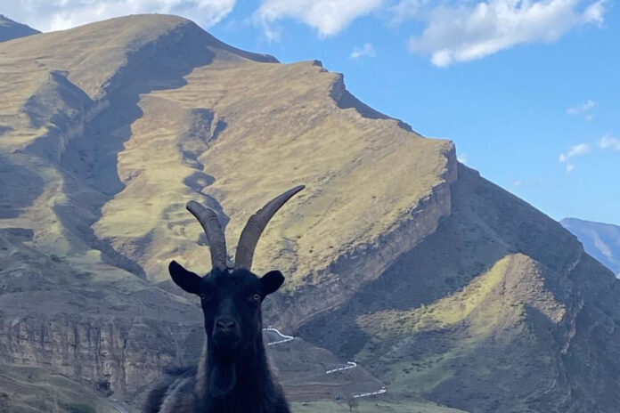 Image 2025-06-24 at 21.03.03_1