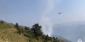 ВИДЕО: в Дагестане сообщили о ликвидации лесного пожара через две недели — после шквального ливня