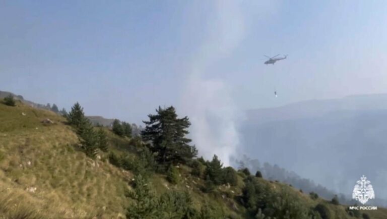 ВИДЕО: в Дагестане сообщили о ликвидации лесного пожара через две недели — после шквального ливня