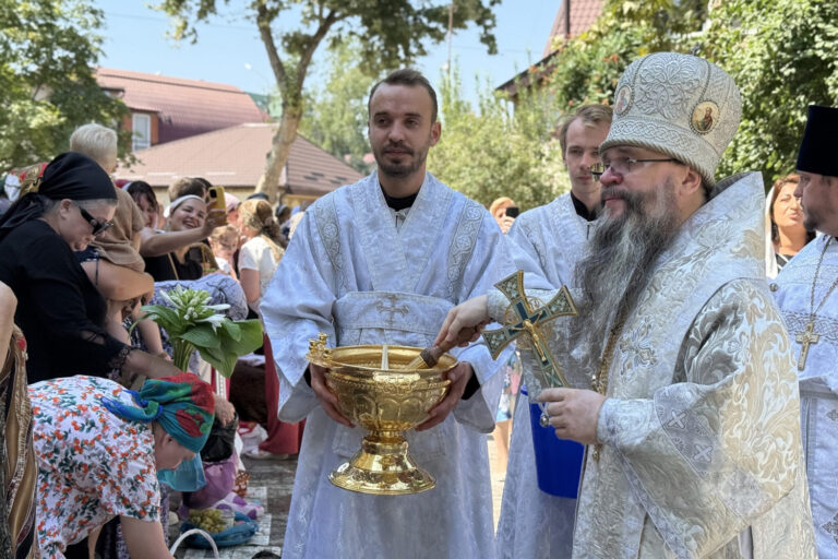 Вкратце