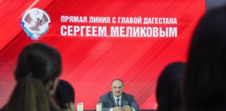 Сергей Меликов поручил разработать комплекс мер для решения проблем с бродячими животными