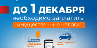 Имущественные налоги можно уплатить за третьих лиц
