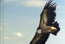 Заветы наших предков и современность