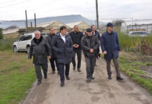 Озеленение Махачкалы: планы и перспективы