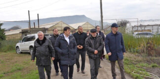 Озеленение Махачкалы: планы и перспективы