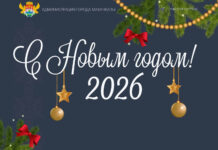 С наступающим Новым 2026 годом!