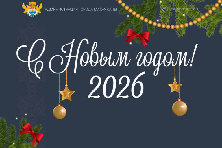 С наступающим Новым 2026 годом!
