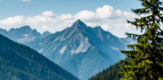 Дагестан собрал более 47,5 млн рублей туристического налога