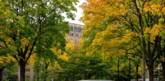 Платные парковки в Махачкале: 2800 мест и заметные улучшения в организации движения