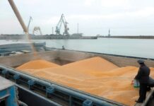 Махачкалинский порт значительно нарастил экспорт зерна