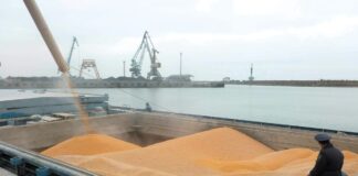Махачкалинский порт значительно нарастил экспорт зерна