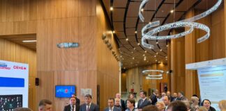 Джамбулат Салавов встретился с сопредседателем ВАРМСУ Ириной Гусевой в Москве