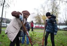 В Махачкале высадили сосны в рамках акции «Сохраним лес»